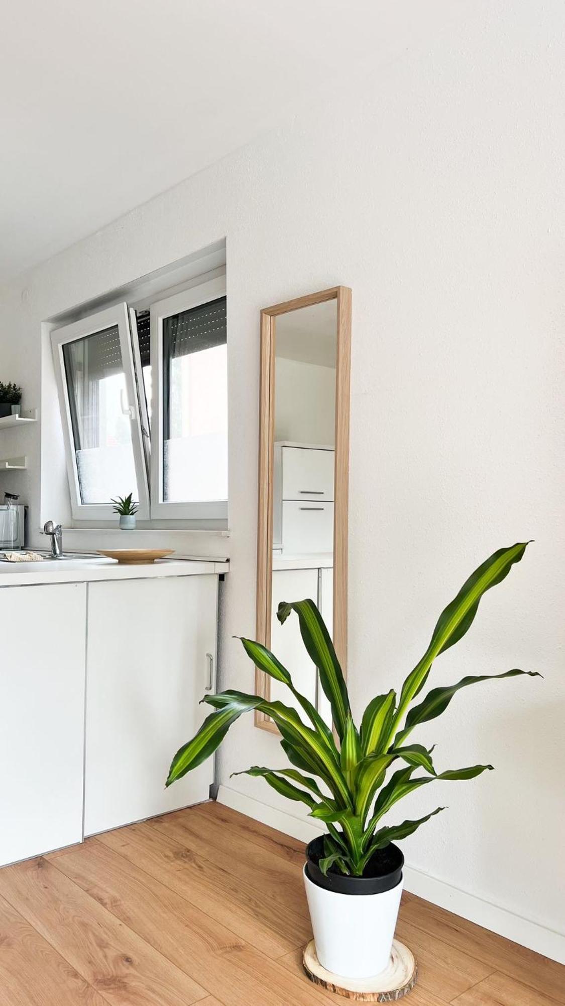 2 Zkb Apartment In Mannheim Kueche - Parken - Grosser Tv Экстерьер фото